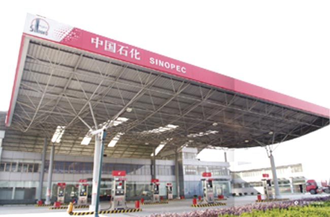 那曲中石化加油站网架